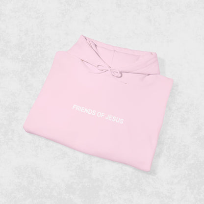 Friends of Jesus Club Member - Pink Hoodie